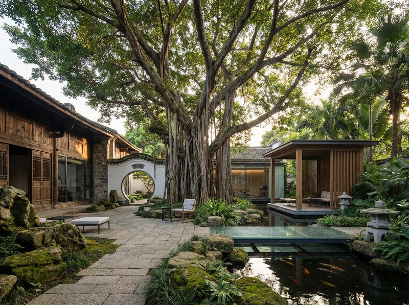 黄色仓库获奖视频：古榕传奇